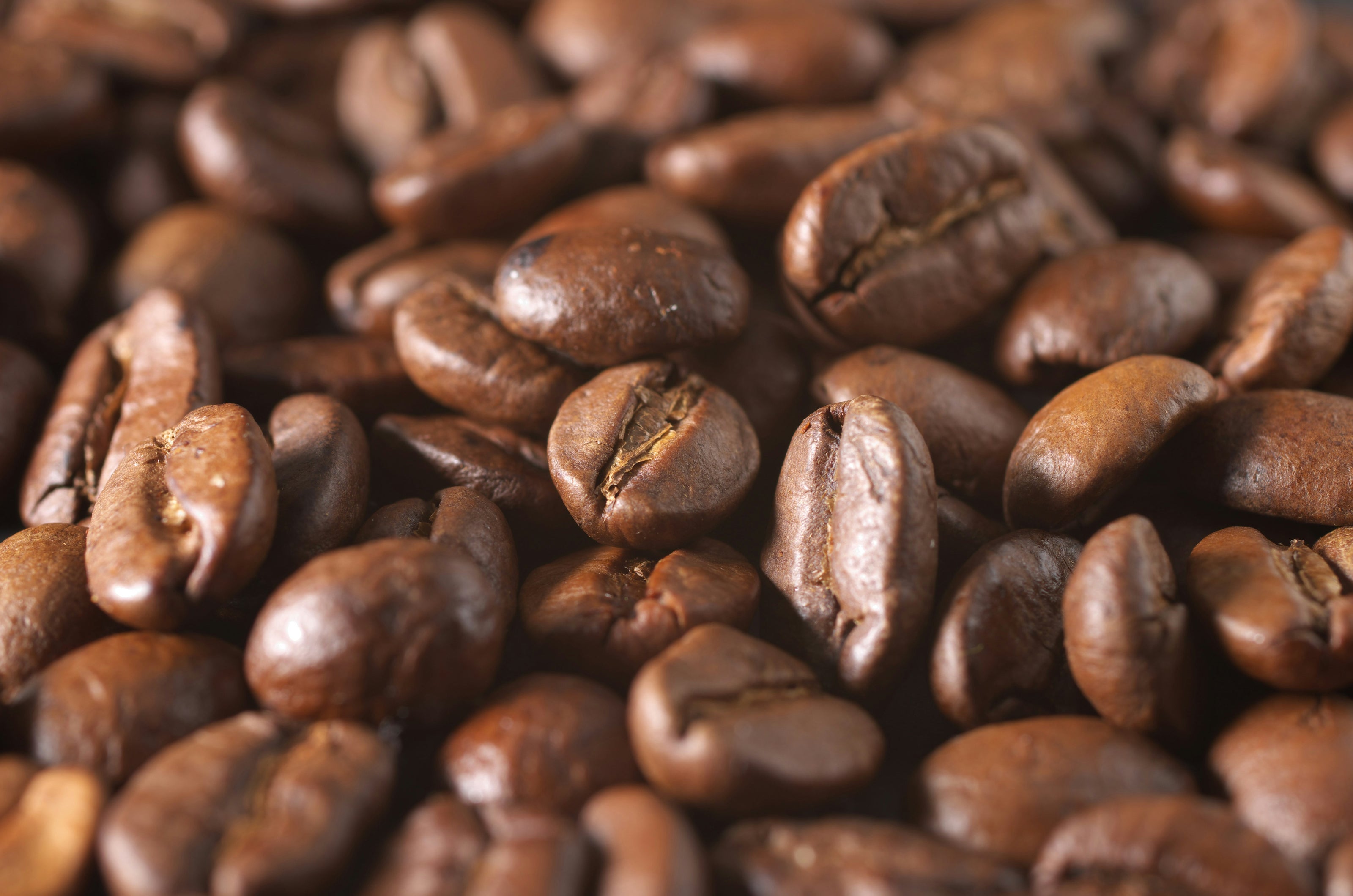 Close-up of roasted coffee beans